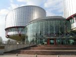 Council of Europe Urges Irish Government to Prioritise Action in its Response to Landmark Abortion Ruling