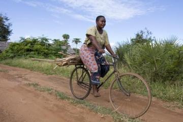 Women with firewood on a bicycle